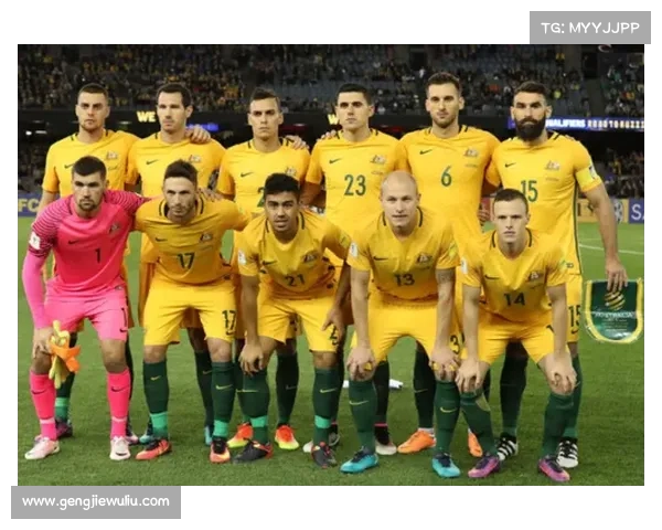 如何全面评估澳洲杯赛事的竞技水平及其影响因素分析 如何全面评估澳洲杯赛事的竞技水平及其影响因素分析