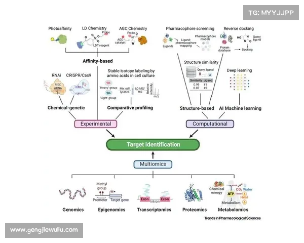 构建与运营高效足球虚拟球队的系统化全面实用管理指南进阶策略集